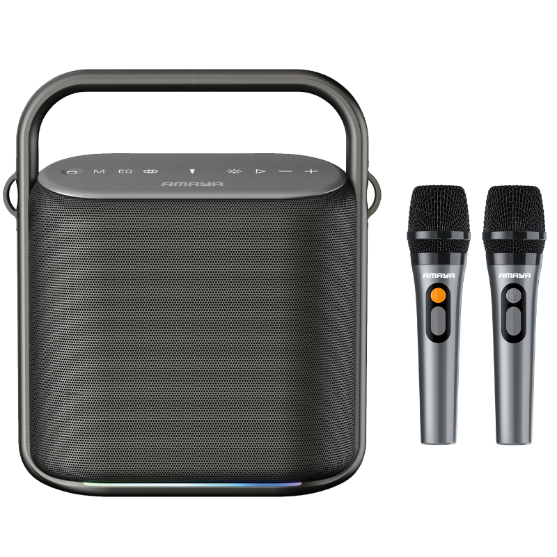 Bluetooth Колонка Amaya SC500 Two-person 80W + два микрофона, Black, купить оптом с доставкой