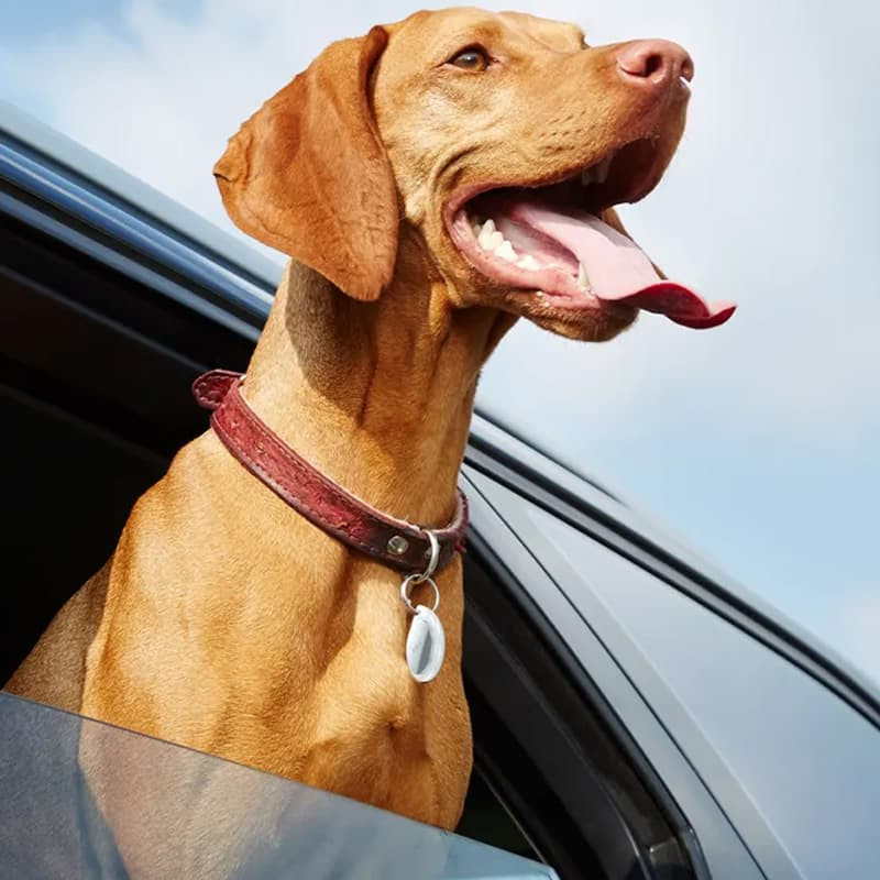 Трекер Hoco DI29 Plus portable anti-lost tracker на малюнкі №5