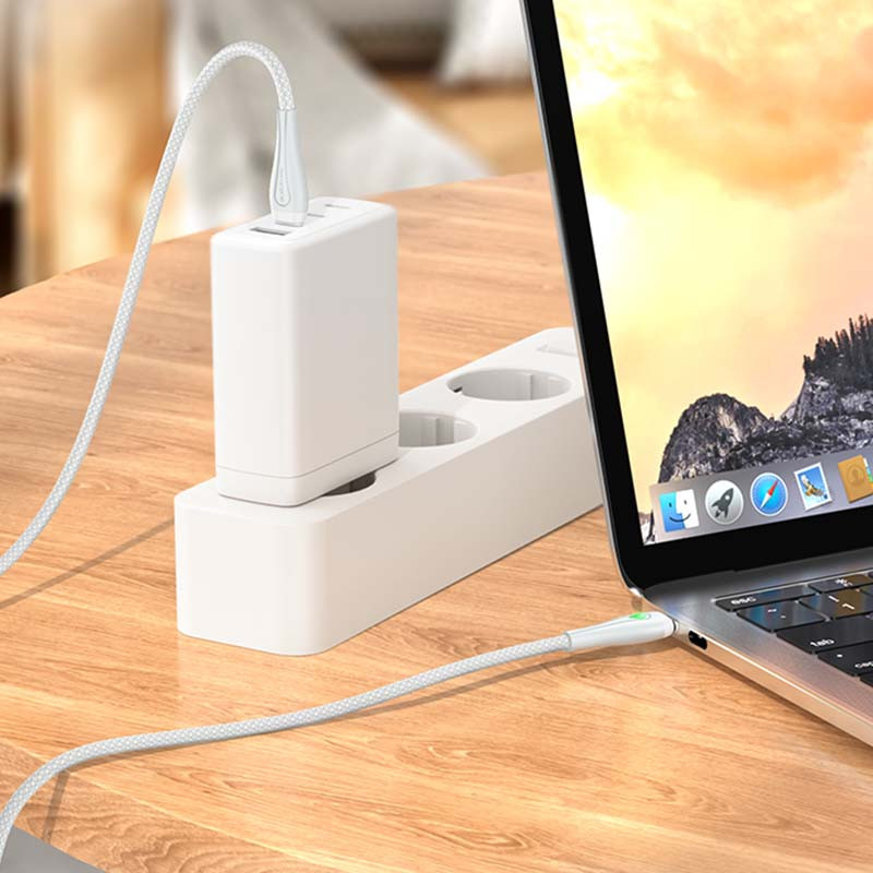 Дата кабель Borofone BX100 Advantage 60W Type-C to Type-C (1m) на малюнкі №3