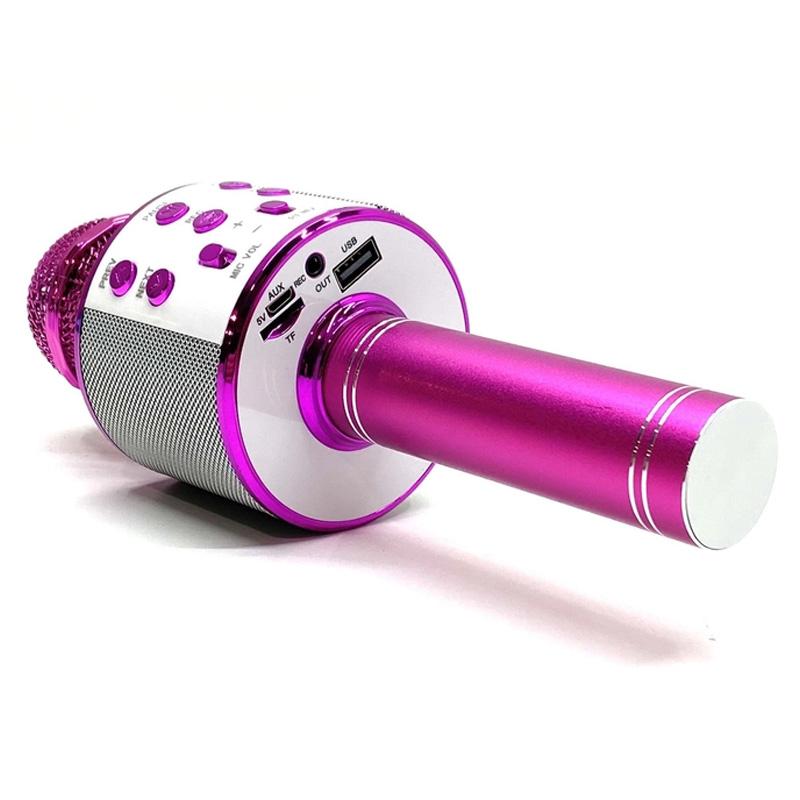 Караоке Мікрофон-колонка WS858 на малюнкі №2