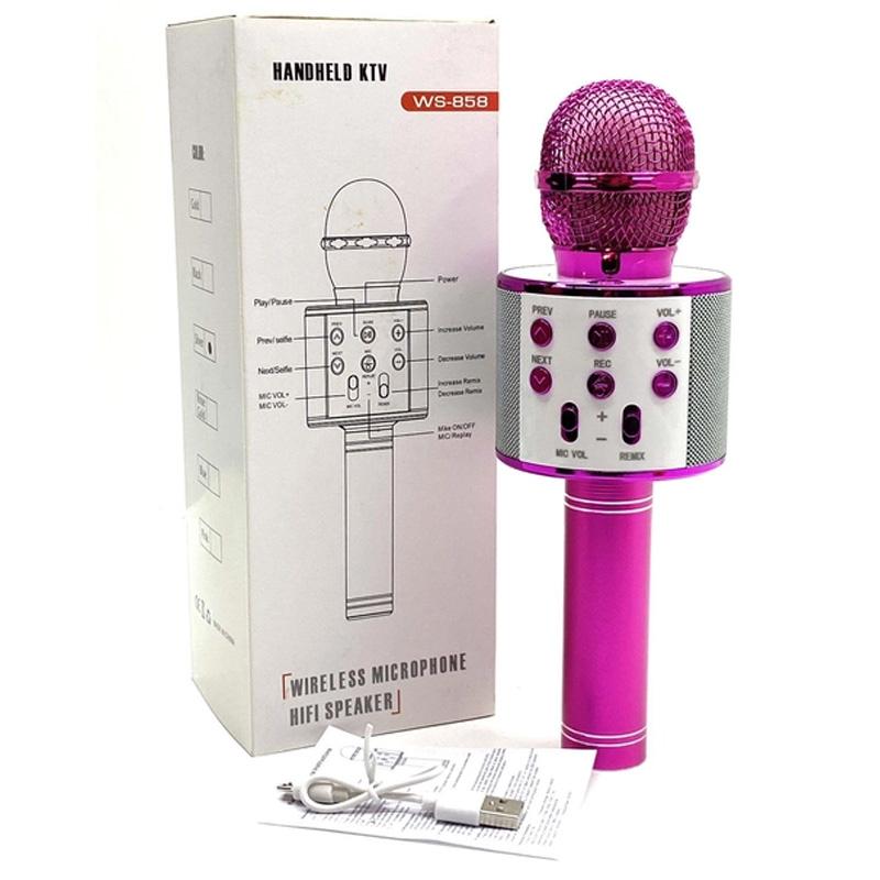Караоке Мікрофон-колонка WS858 на малюнкі №4
