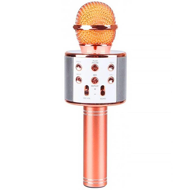 Караоке Мікрофон-колонка WS858 на малюнкі №1