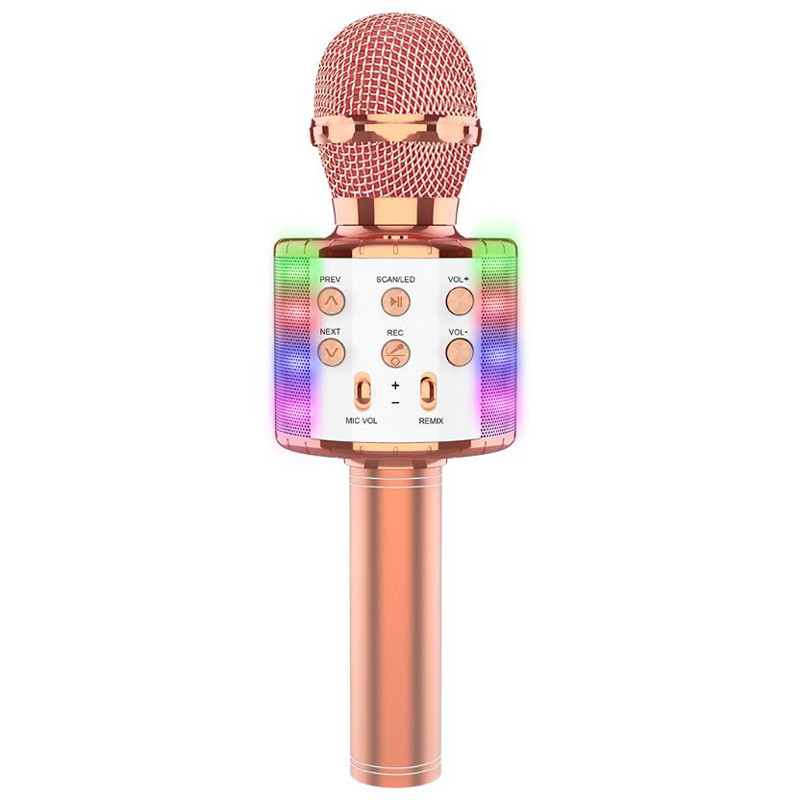 Караоке Мікрофон-колонка WS858L на малюнкі №1