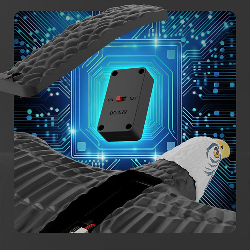 Самолет-птица на радиоуправлении SCHE HW40 Eagle на картинке №4