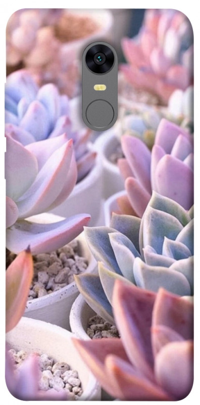 Чехол itsPrint Эхеверия 2 для Xiaomi Redmi 5 Plus / Redmi Note 5 (Single Camera), цветы, купить оптом с доставкой