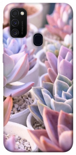 Чохол itsPrint Ехеверія 2 для Samsung Galaxy M30s / M21
