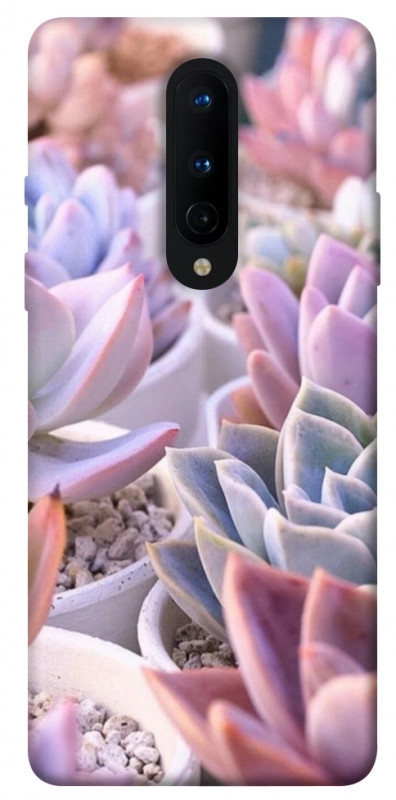 Чохол itsPrint Ехеверія 2 для OnePlus 8, квіти, купити оптом з доставкою
