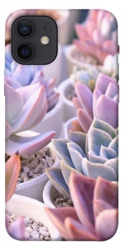 Чехол itsPrint Эхеверия 2 для Apple iPhone 12 Pro (6.1")
