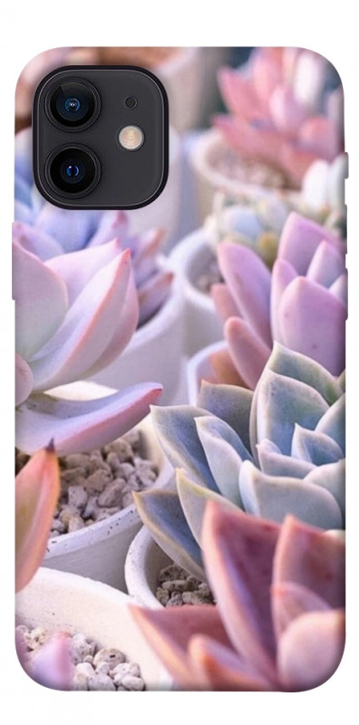 Чехол itsPrint Эхеверия 2 для Apple iPhone 12 mini (5.4"), цветы, купить оптом с доставкой