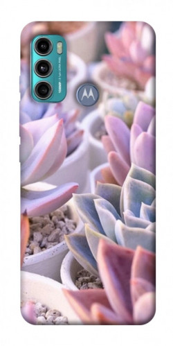 Чехол itsPrint Эхеверия 2 для Motorola Moto G60