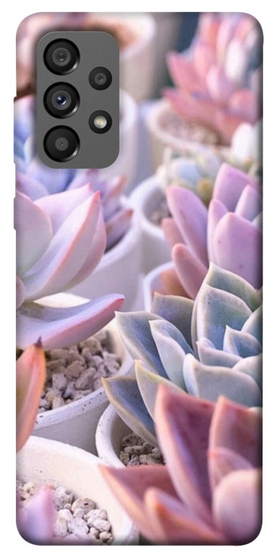 Чехол itsPrint Эхеверия 2 для Samsung Galaxy A73 5G, цветы, купить оптом с доставкой