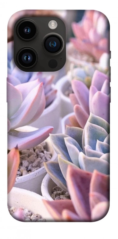 Чехол itsPrint Эхеверия 2 для Apple iPhone 14 Pro (6.1"), цветы, купить оптом с доставкой