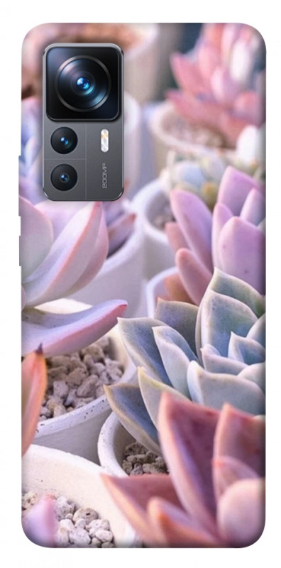 Чехол itsPrint Эхеверия 2 для Xiaomi 12T / 12T Pro, цветы, купить оптом с доставкой