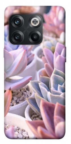 Чехол itsPrint Эхеверия 2 для OnePlus 10T