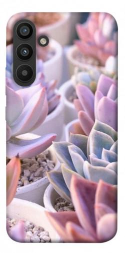 Чехол itsPrint Эхеверия 2 для Samsung Galaxy A34 5G
