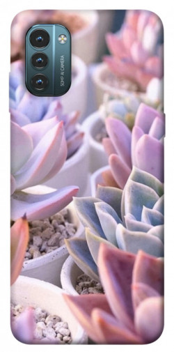 Чехол itsPrint Эхеверия 2 для Nokia G21