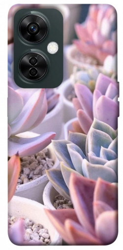 Чехол itsPrint Эхеверия 2 для OnePlus Nord CE 3 Lite