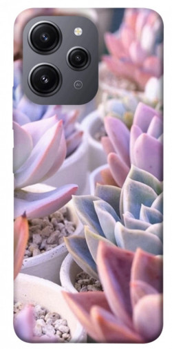 Чохол itsPrint Ехеверія 2 для Xiaomi Redmi 12