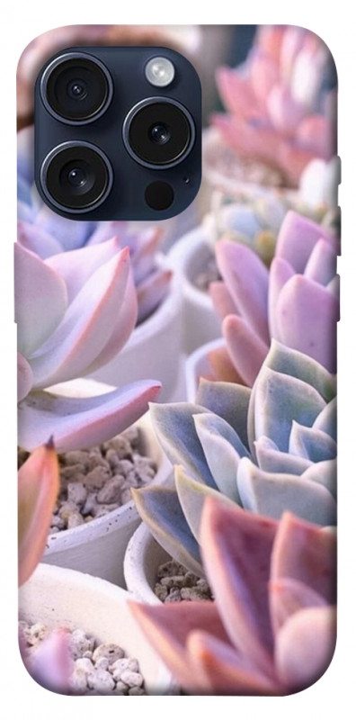 Чехол itsPrint Эхеверия 2 для Apple iPhone 15 Pro (6.1"), цветы, купить оптом с доставкой