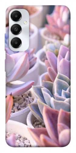 Чехол itsPrint Эхеверия 2 для Samsung Galaxy A05s