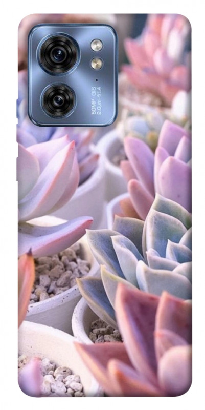 Чехол itsPrint Эхеверия 2 для Motorola Edge 40, цветы, купить оптом с доставкой