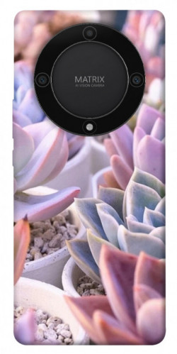 Чехол itsPrint Эхеверия 2 для Huawei Magic5 Lite