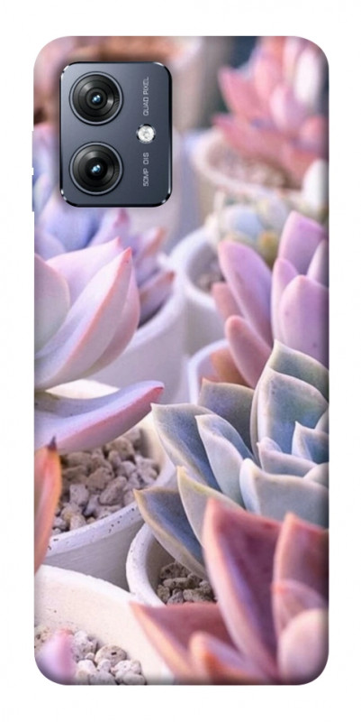 Чехол itsPrint Эхеверия 2 для Motorola Moto G54, цветы, купить оптом с доставкой