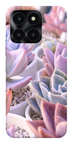 Чехол itsPrint Эхеверия 2 для Huawei Honor X6a