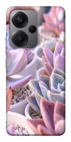 Чехол itsPrint Эхеверия 2 для Xiaomi Redmi Note 13 Pro+