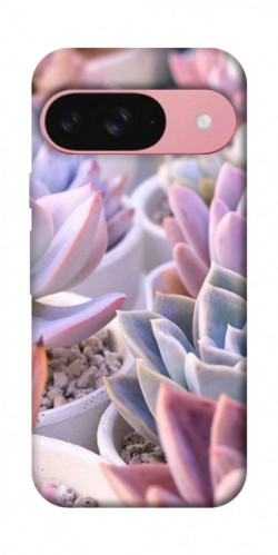 Чехол itsPrint Эхеверия 2 для Google Pixel 9