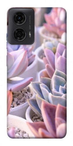 Чехол itsPrint Эхеверия 2 для Motorola Moto G24