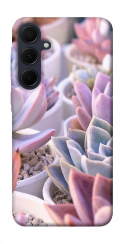 Чехол itsPrint Эхеверия 2 для Samsung Galaxy A55