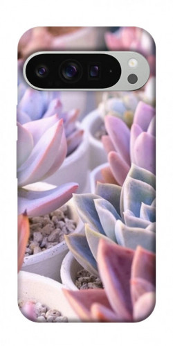 Чехол itsPrint Эхеверия 2 для Google Pixel 9 Pro XL