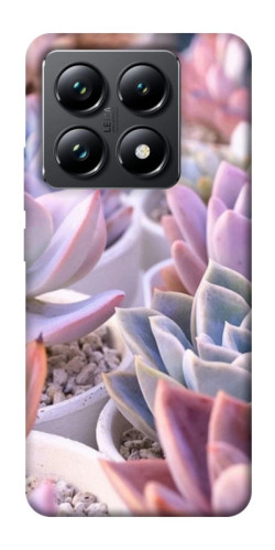 Чехол itsPrint Эхеверия 2 для Xiaomi 14T Pro