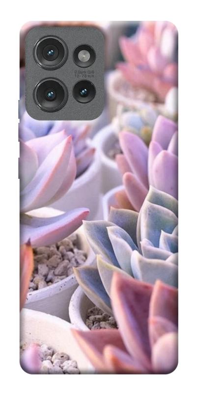 Чехол itsPrint Эхеверия 2 для Motorola Edge 50, цветы, купить оптом с доставкой