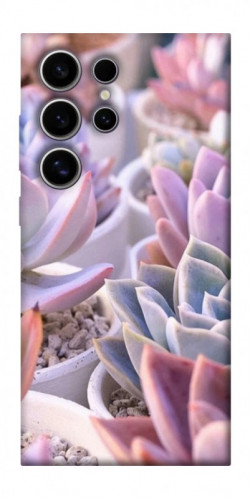 Чехол itsPrint Эхеверия 2 для Samsung Galaxy S25 Ultra