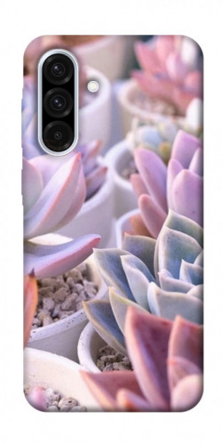 Чехол itsPrint Эхеверия 2 для Samsung Galaxy A36 5G