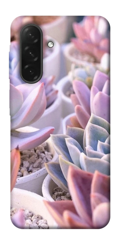 Чохол itsPrint Ехеверія 2 для Samsung Galaxy A26 5G, квіти, купити оптом з доставкою