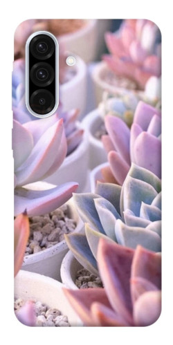Чехол itsPrint Эхеверия 2 для Samsung Galaxy A56 5G