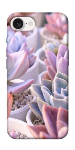 Чехол itsPrint Эхеверия 2 для Apple iPhone 16e (6.1")