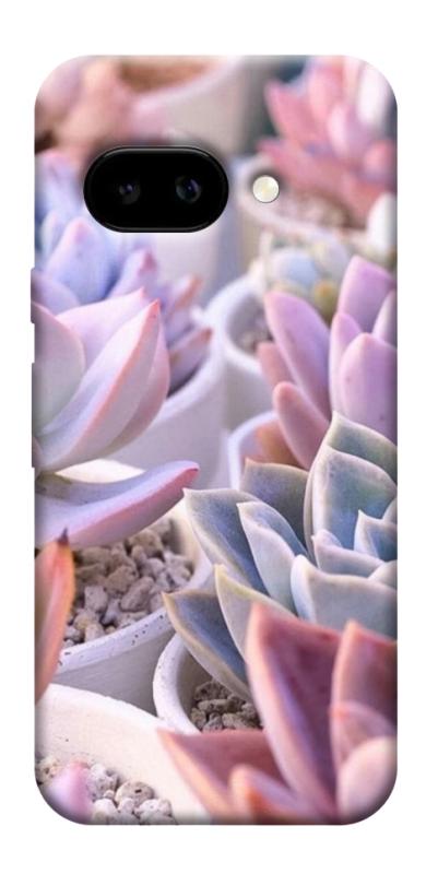 Чехол itsPrint Эхеверия 2 для Google Pixel 9a, цветы, купить оптом с доставкой