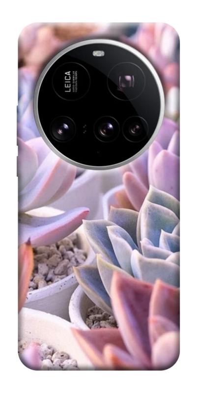 Чехол itsPrint Эхеверия 2 для Xiaomi 15 Ultra, цветы, купить оптом с доставкой