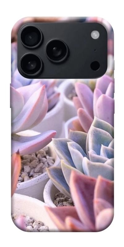 Чехол itsPrint Эхеверия 2 для Apple iPhone 17 Pro (6.3"), цветы, купить оптом с доставкой