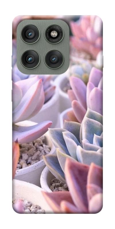 Чехол itsPrint Эхеверия 2 для Motorola Edge 60 Pro, цветы, купить оптом с доставкой