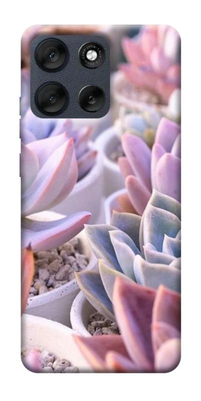 Чехол itsPrint Эхеверия 2 для Motorola Moto G56 5G, цветы, купить оптом с доставкой