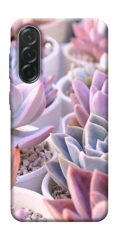Чехол itsPrint Эхеверия 2 для Samsung Galaxy A57 5G, цветы, купить оптом с доставкой