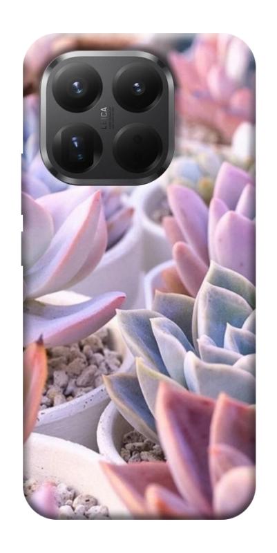 Чехол itsPrint Эхеверия 2 для Xiaomi 15T Pro, цветы, купить оптом с доставкой