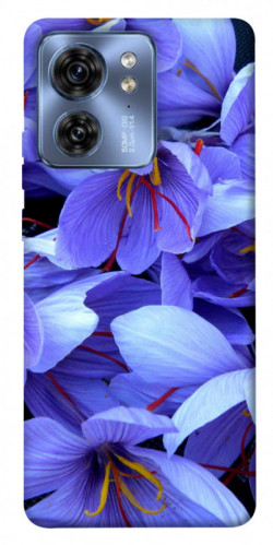 Чехол itsPrint Фиолетовый сад для Motorola Edge 40
