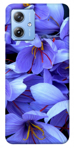 Чехол itsPrint Фиолетовый сад для Motorola Moto G84