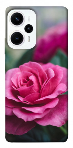 Чохол itsPrint Троянда у саду для Xiaomi Poco F5 Pro